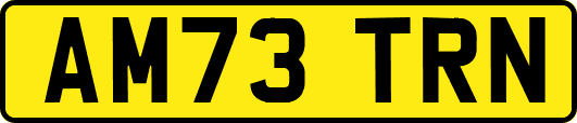 AM73TRN