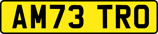 AM73TRO