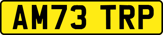 AM73TRP