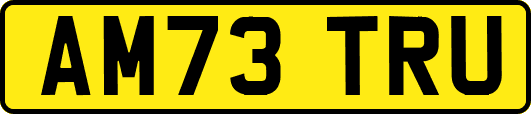 AM73TRU