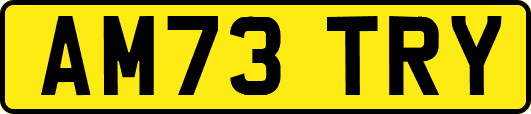 AM73TRY