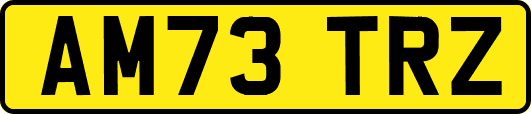 AM73TRZ