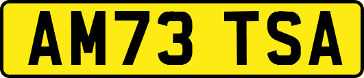 AM73TSA