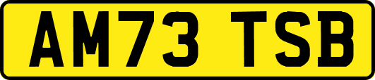 AM73TSB