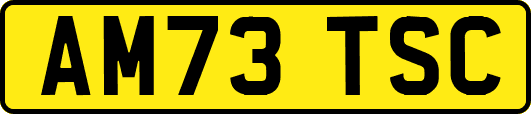 AM73TSC