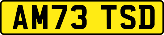 AM73TSD