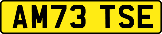 AM73TSE