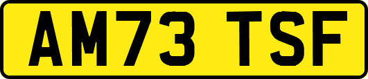 AM73TSF