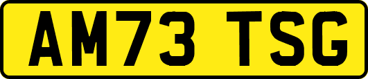 AM73TSG