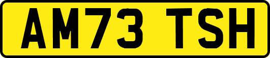 AM73TSH