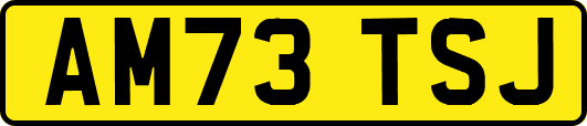 AM73TSJ
