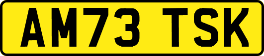 AM73TSK