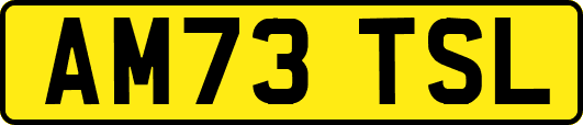 AM73TSL