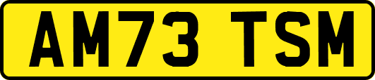 AM73TSM