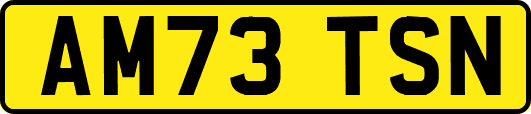 AM73TSN