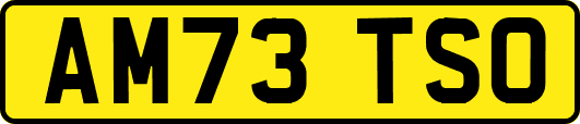 AM73TSO