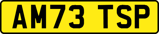AM73TSP