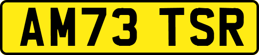 AM73TSR