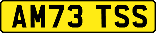 AM73TSS