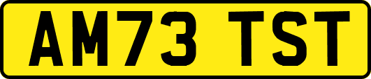 AM73TST
