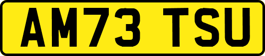AM73TSU