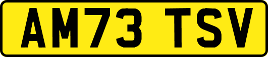 AM73TSV