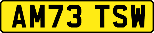 AM73TSW