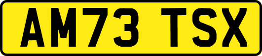 AM73TSX