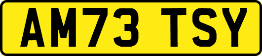 AM73TSY