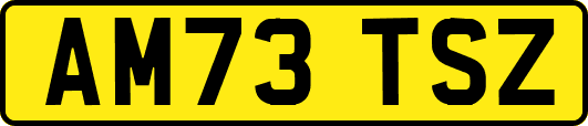AM73TSZ