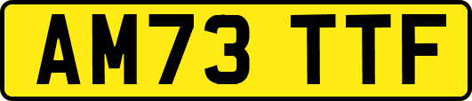 AM73TTF