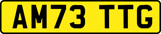 AM73TTG