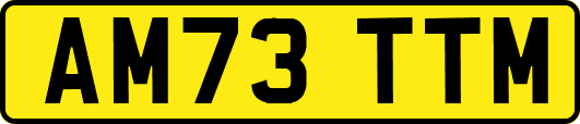 AM73TTM