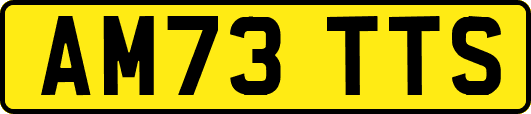 AM73TTS