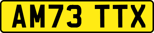 AM73TTX