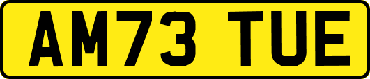 AM73TUE