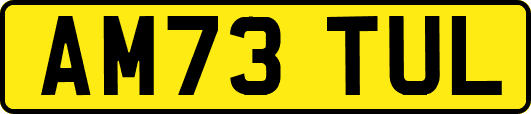 AM73TUL