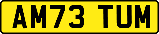 AM73TUM