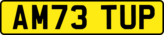 AM73TUP