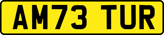 AM73TUR