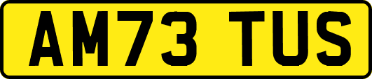 AM73TUS