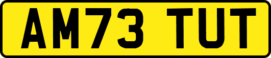 AM73TUT