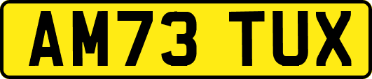 AM73TUX