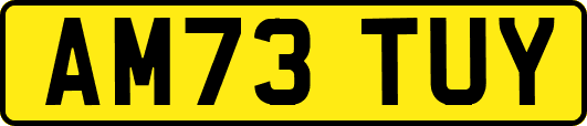AM73TUY