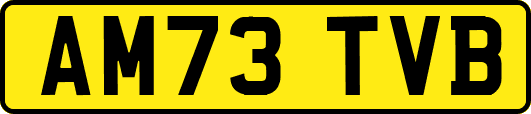 AM73TVB