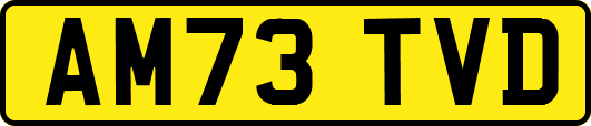 AM73TVD