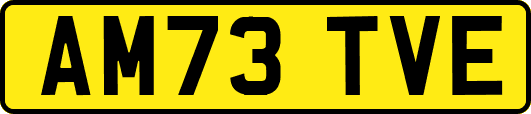 AM73TVE