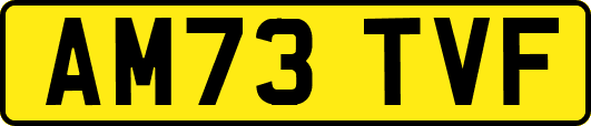 AM73TVF