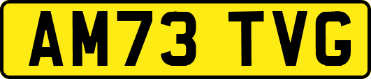 AM73TVG