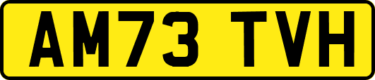 AM73TVH